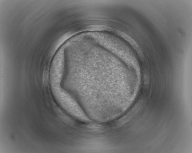 X0000113311473200910131057