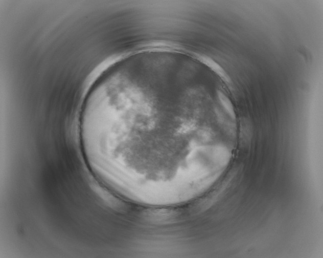 X0000113311474200910131057