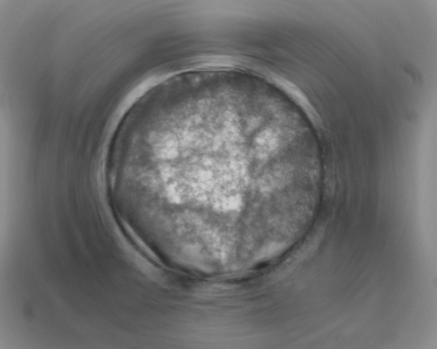 X0000113311475200910131057