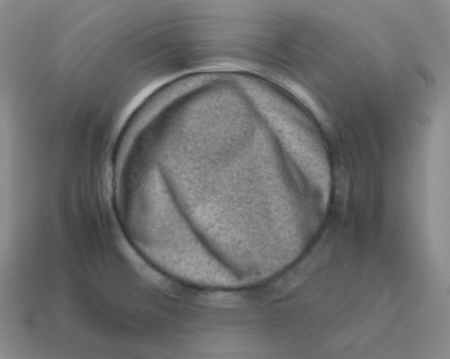 X0000113311476200910131057