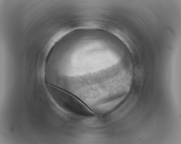 X0000113311477200910131057