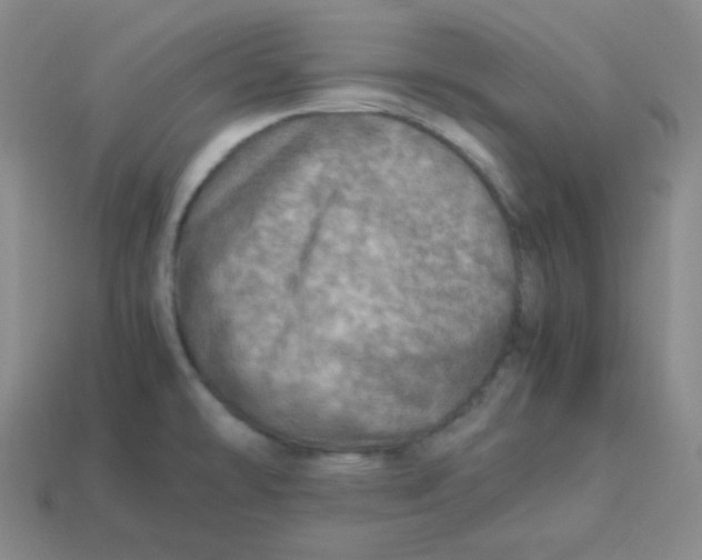 X0000113311478200910131057