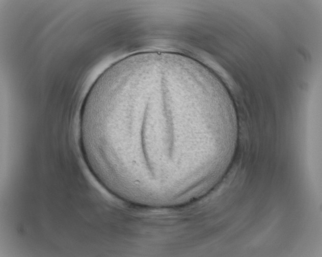 X0000113311479200910131057