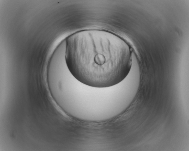 X0000113311480200910131057