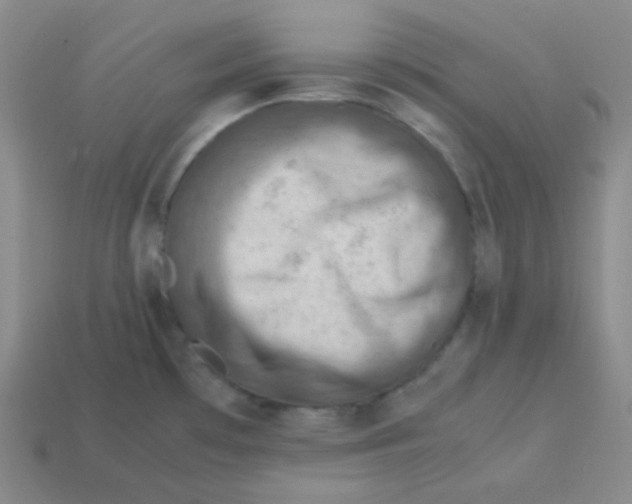 X0000113311481200910131057