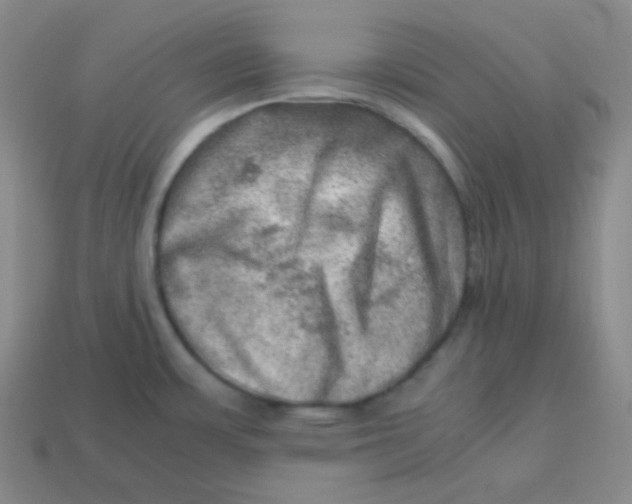 X0000113311483200910131057