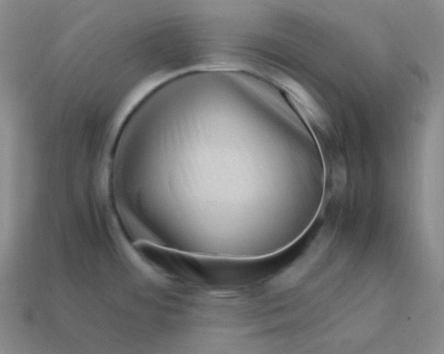 X0000113311484200910131057