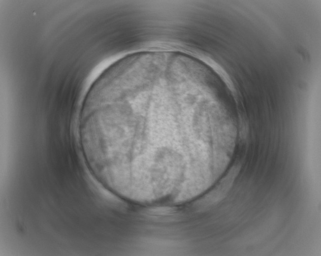 X0000113311486200910131057