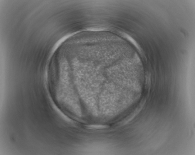 X0000113311487200910131057