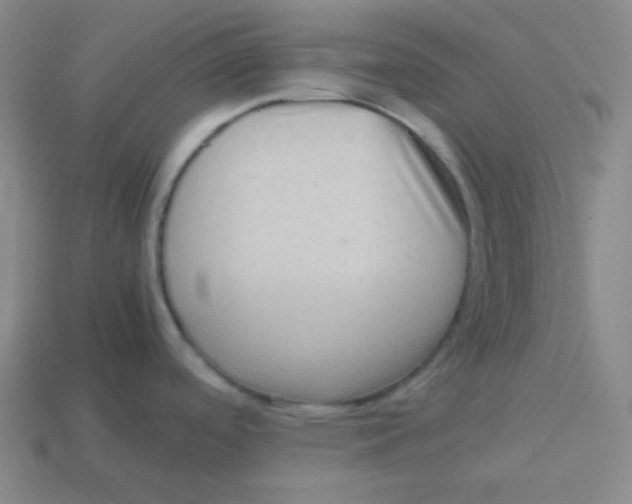 X0000113311488200910131057