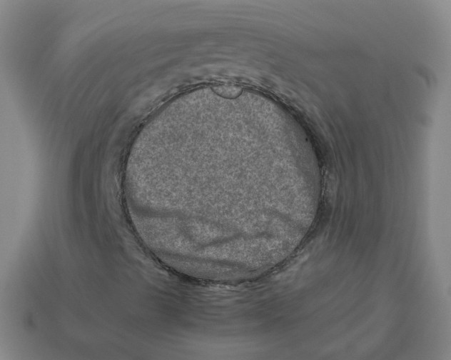 X0000113311489200910131057