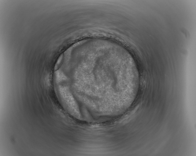 X0000113311490200910131057