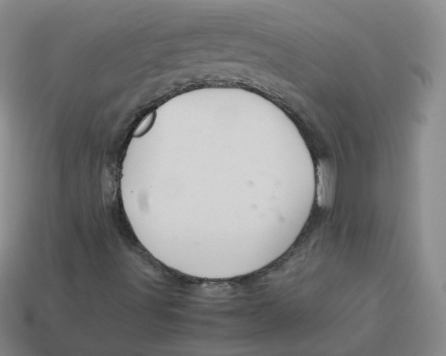 X0000113311491200910131057