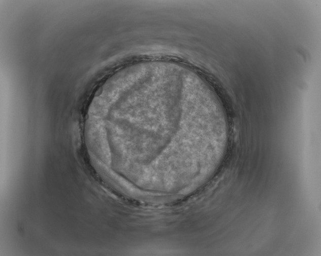 X0000113311493200910131057