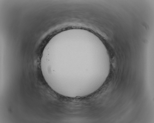 X0000113311495200910131057