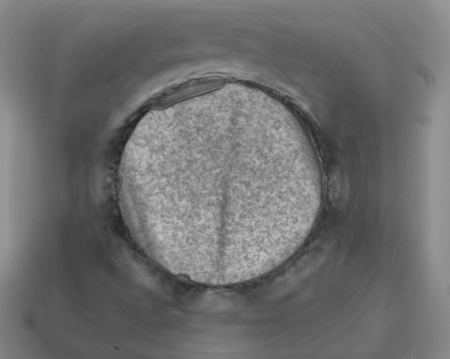 X0000113311496200910131057