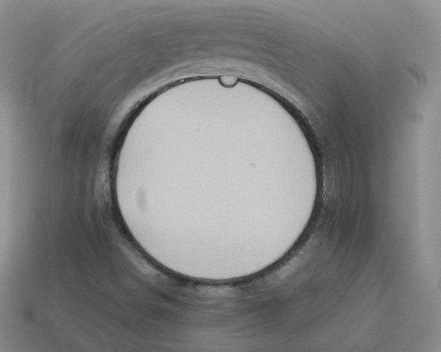 X0000113311498200910131057