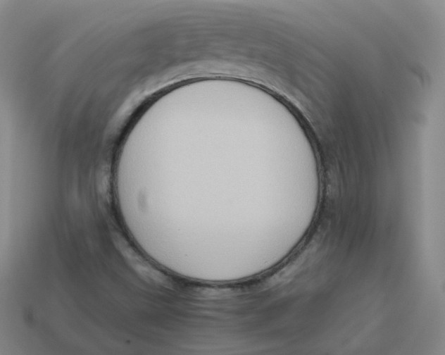 X0000113311499200910131057