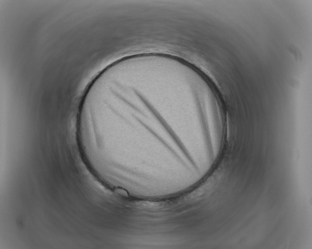 X0000113311500200910131057