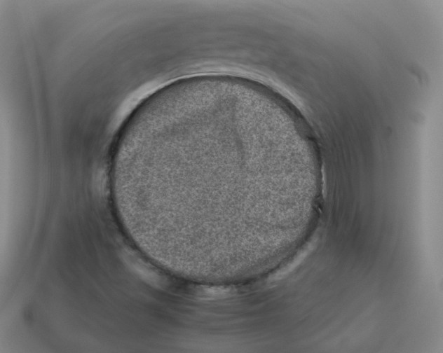 X0000113311501200910131057