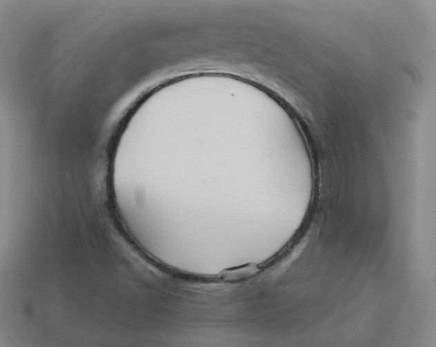 X0000113311502200910131057