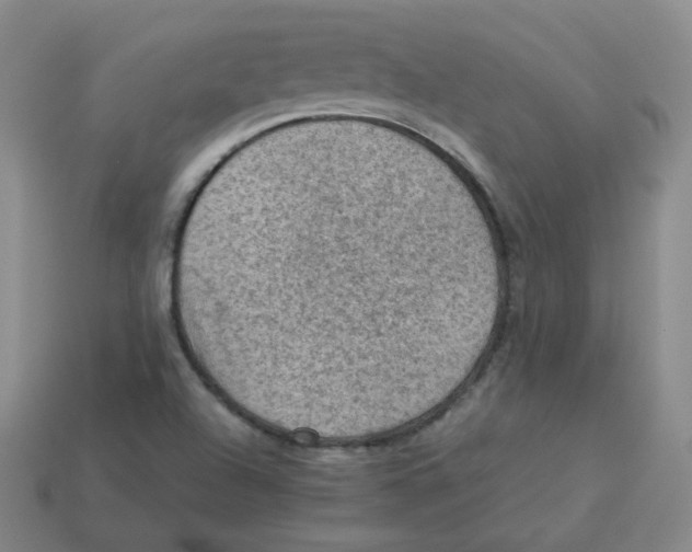 X0000113311504200910131057