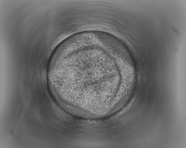 X0000113311505200910131057