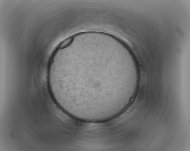 X0000113311506200910131057