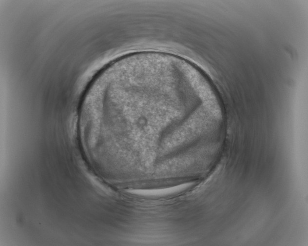 X0000113311507200910131057