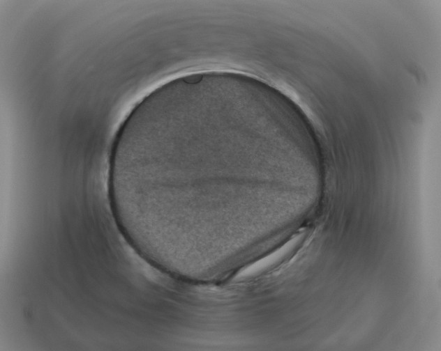 X0000113311508200910131057