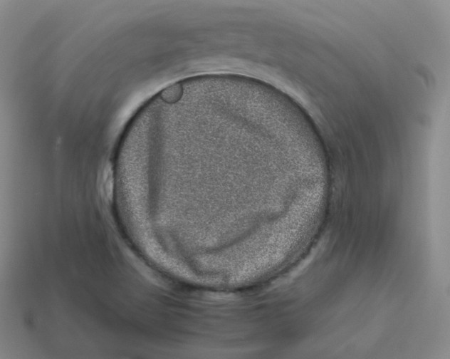 X0000113311509200910131057