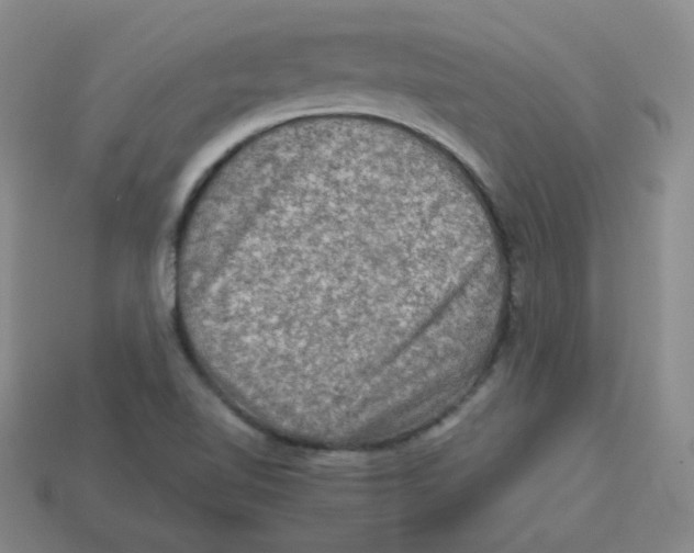 X0000113311510200910131057