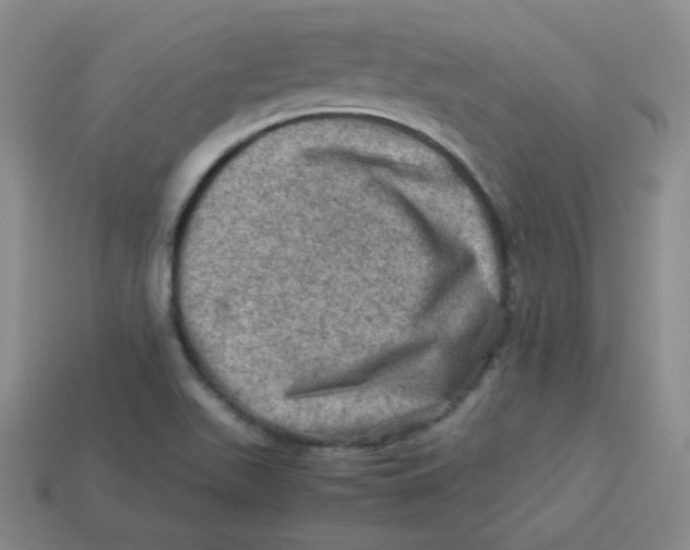 X0000113311511200910131057