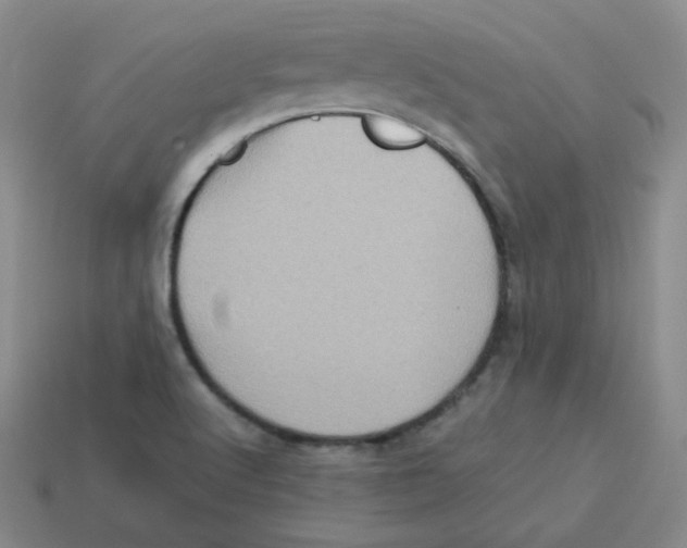 X0000113311512200910131057