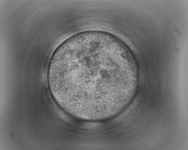 X0000113311513200910131057