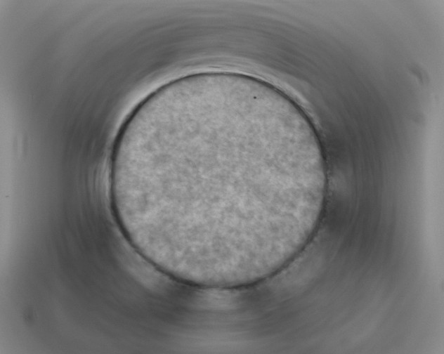 X0000113311514200910131057