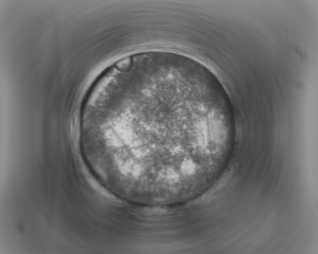 X0000113311515200910131057