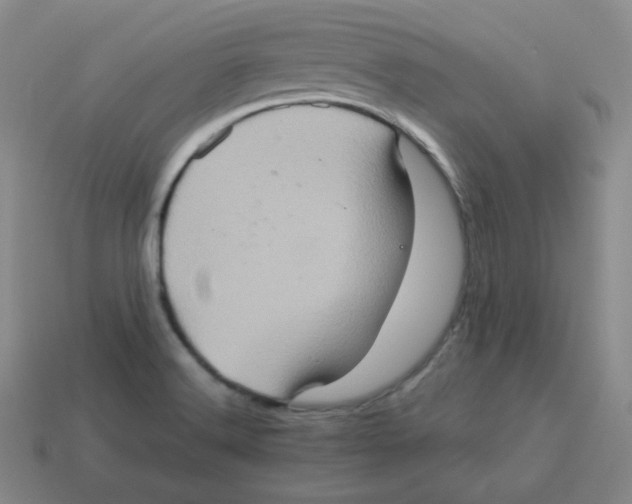 X0000113311516200910131057