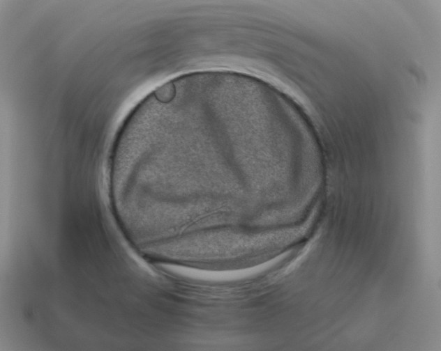 X0000113311517200910131057