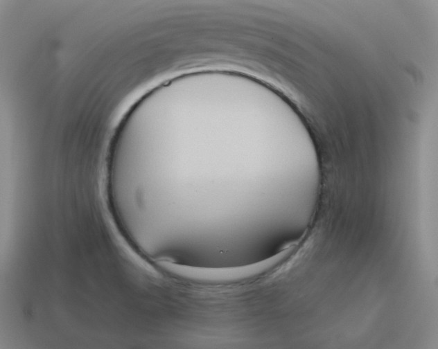 X0000113311518200910131057