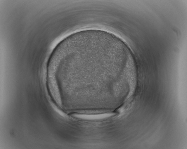 X0000113311519200910131057