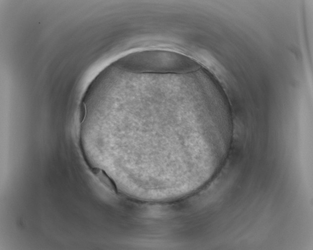 X0000113311520200910131057