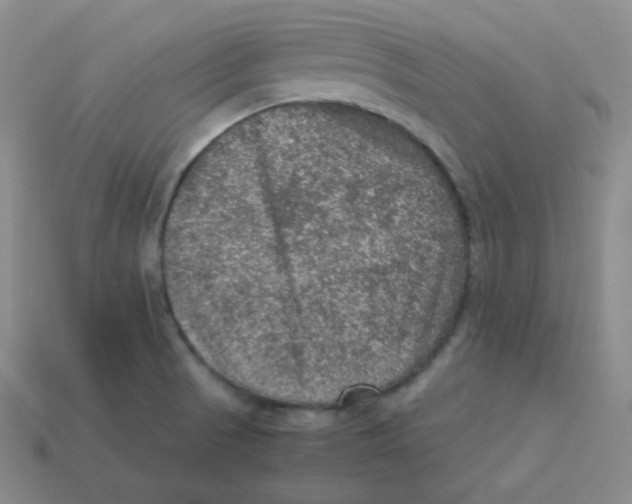 X0000113311521200910131057