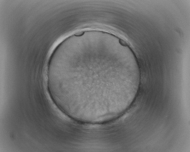 X0000113311522200910131057