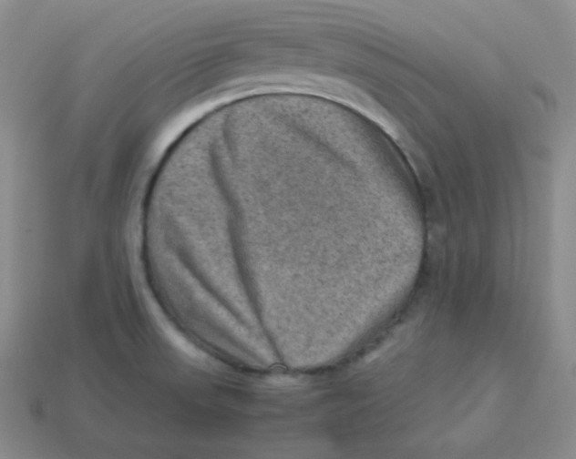 X0000113311523200910131057