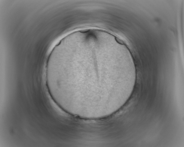 X0000113311524200910131057