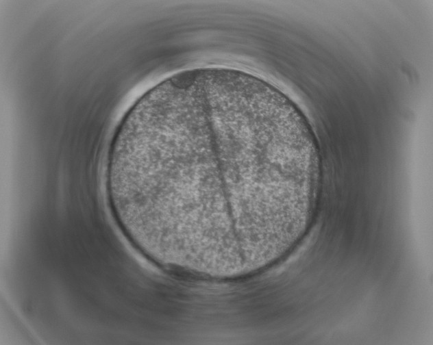 X0000113311525200910131057