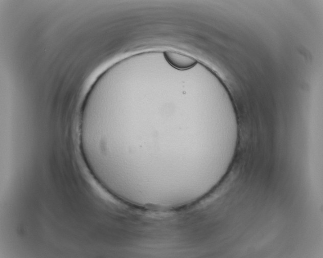 X0000113311526200910131057