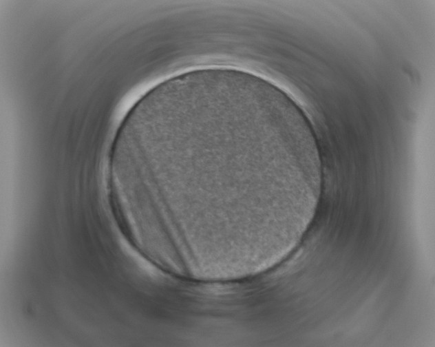 X0000113311527200910131057