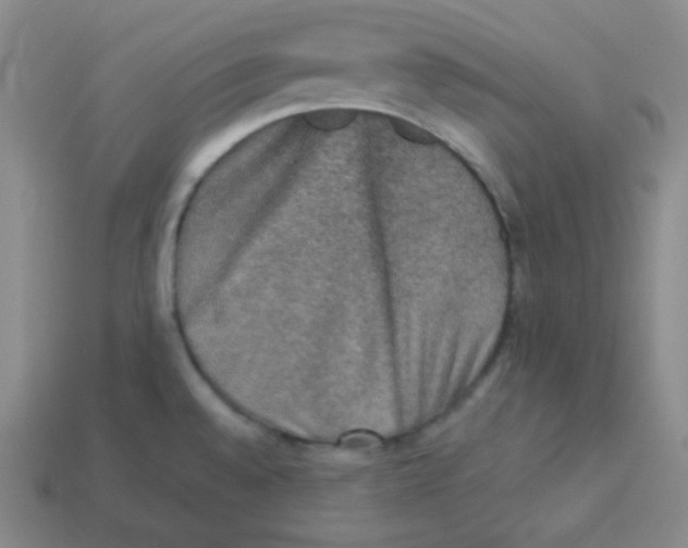 X0000113311528200910131057